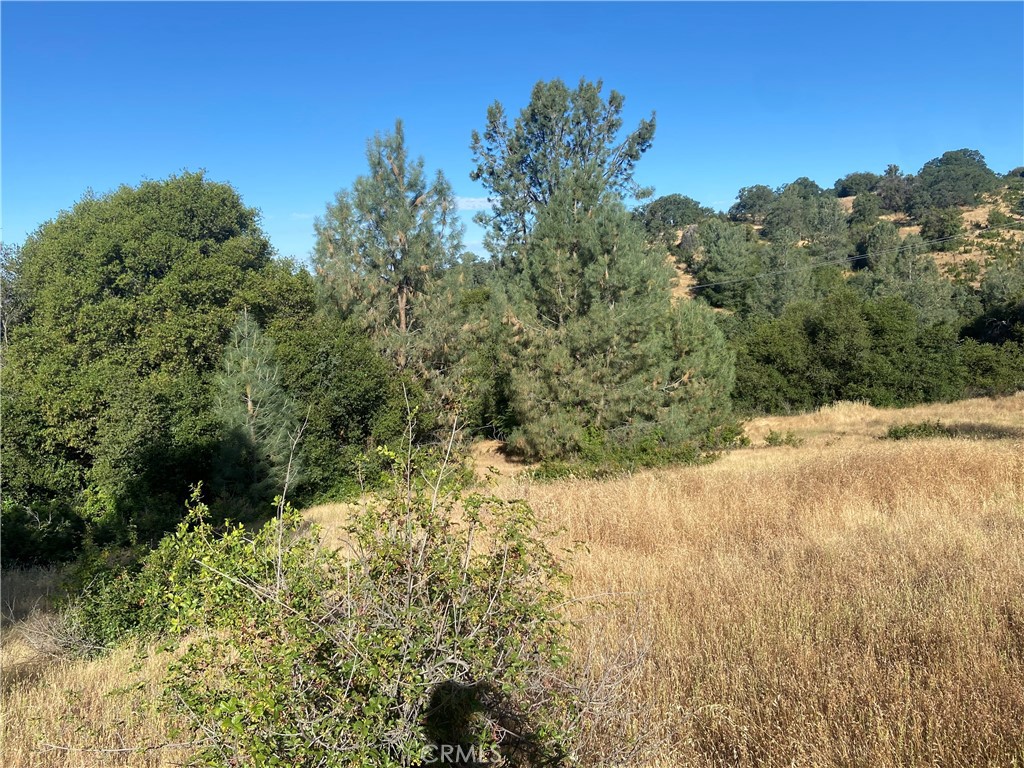 0 State Hwy 140, Mariposa, CA 95338