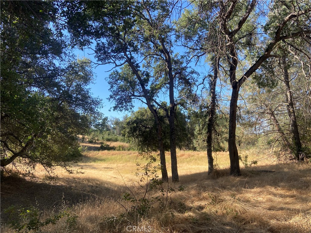 0 State Hwy 140, Mariposa, CA 95338