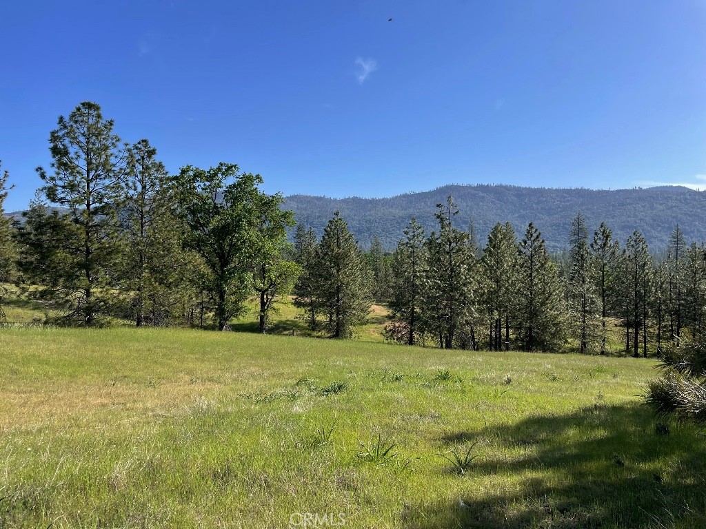0 Triangle Road, Mariposa, CA 95338