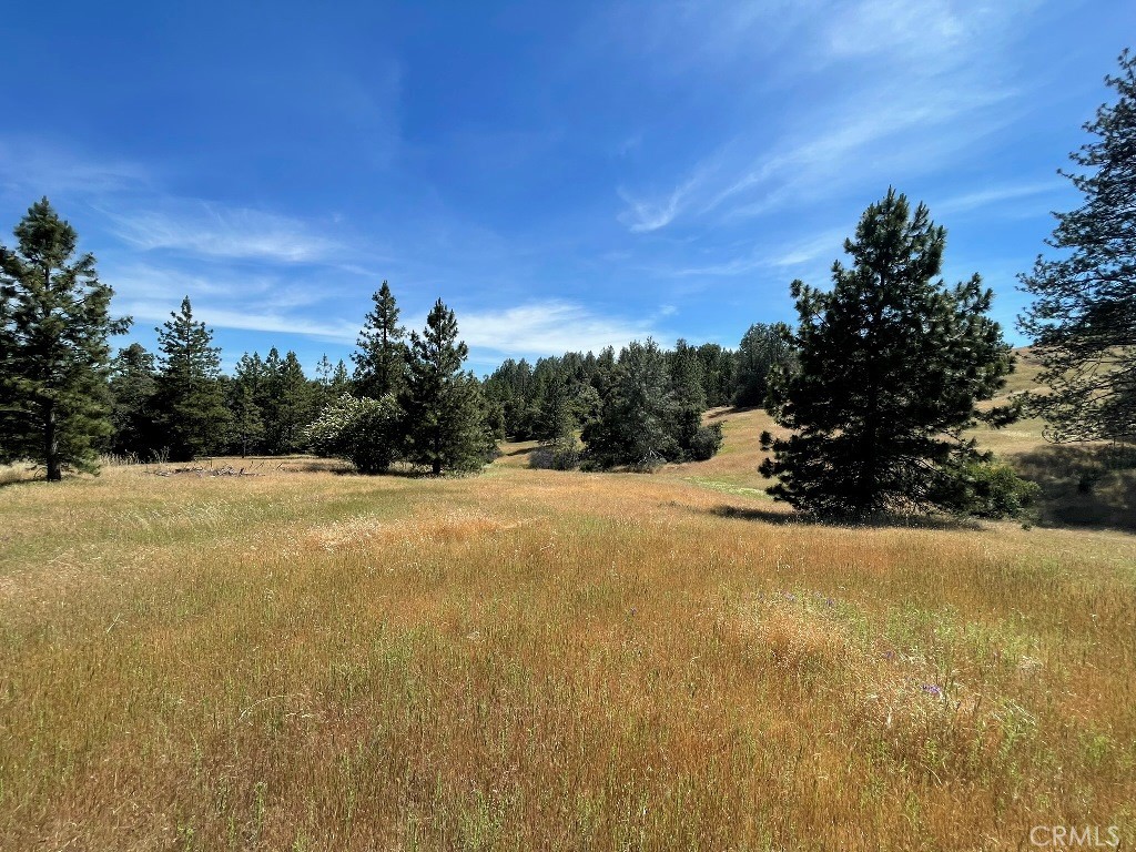 0 Triangle Road, Mariposa, CA 95338