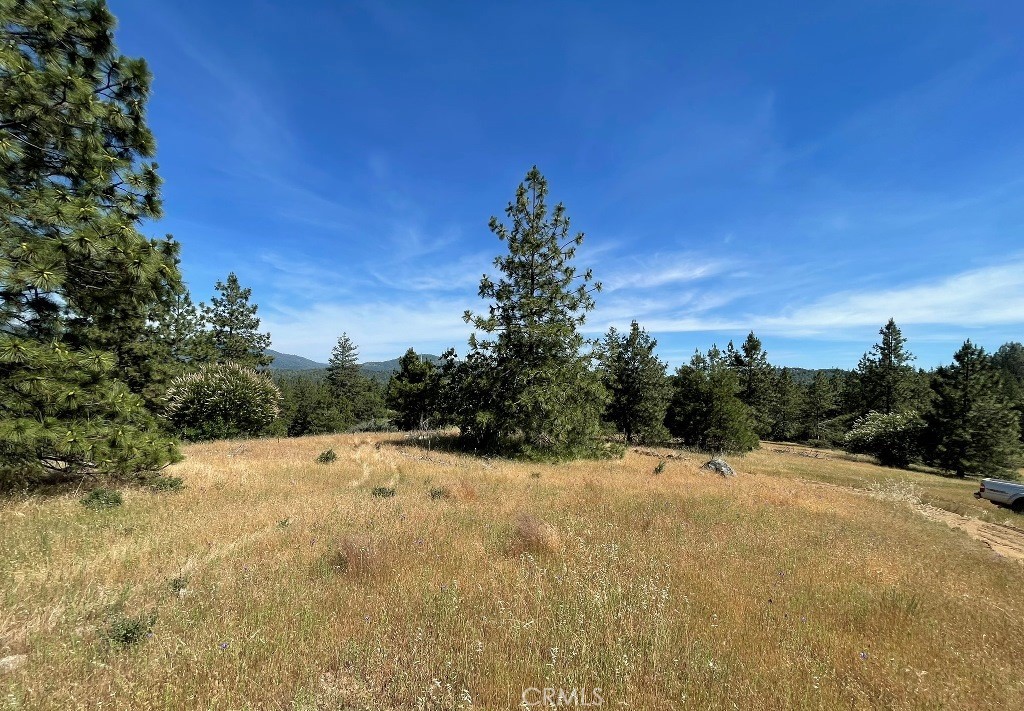0 Triangle Road, Mariposa, CA 95338