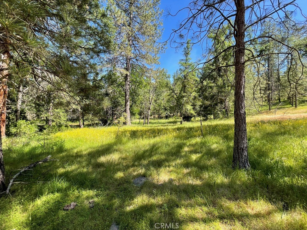 0 Triangle Road, Mariposa, CA 95338