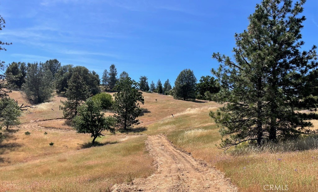 0 Triangle Road, Mariposa, CA 95338