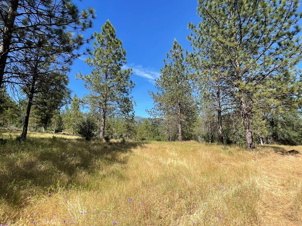 0 Triangle Road, Mariposa, CA 95338