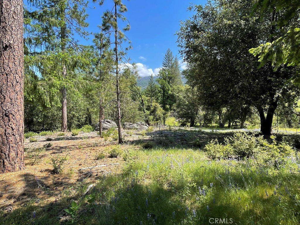 0 Triangle Road, Mariposa, CA 95338