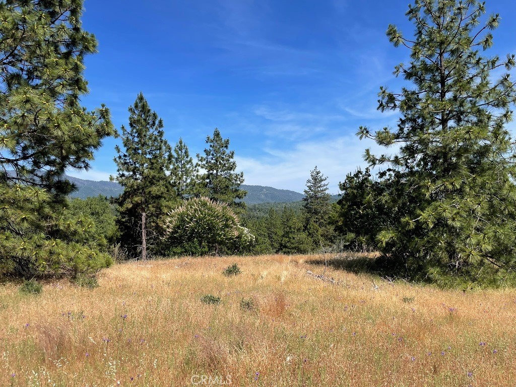 0 Triangle Road, Mariposa, CA 95338
