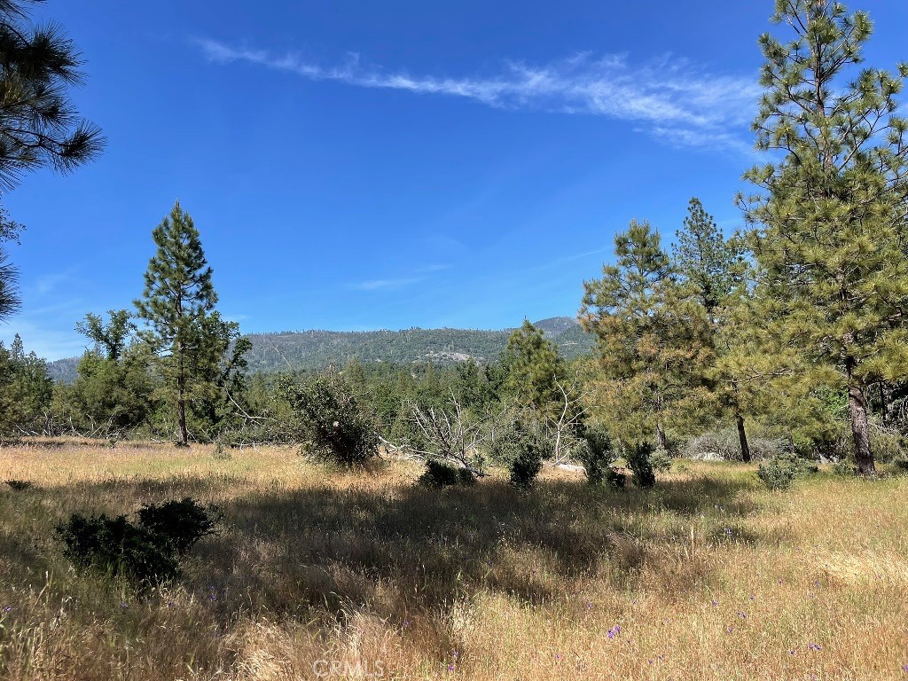 0 Triangle Road, Mariposa, CA 95338