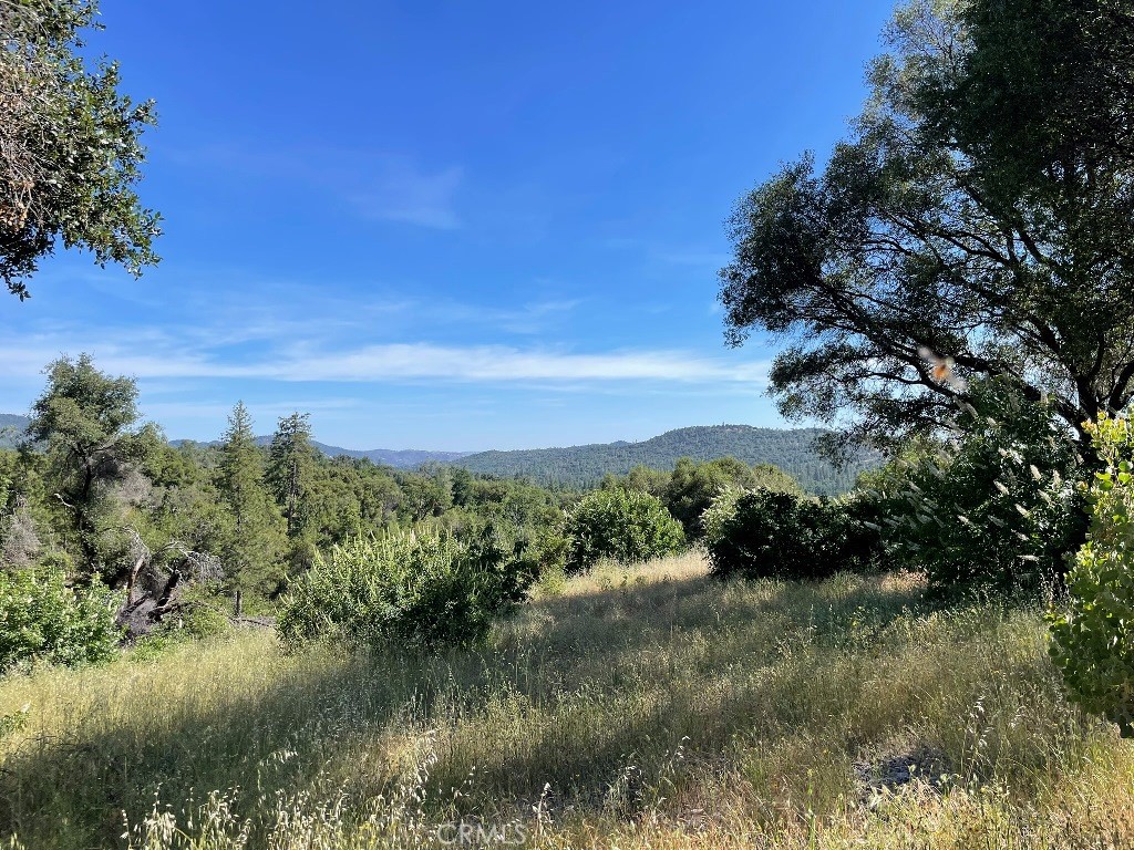 0 Triangle Road, Mariposa, CA 95338