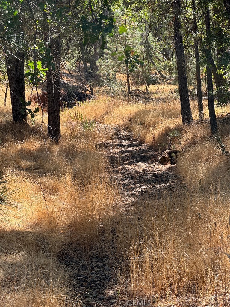 5718 E Whitlock Rd, Mariposa, CA 95338