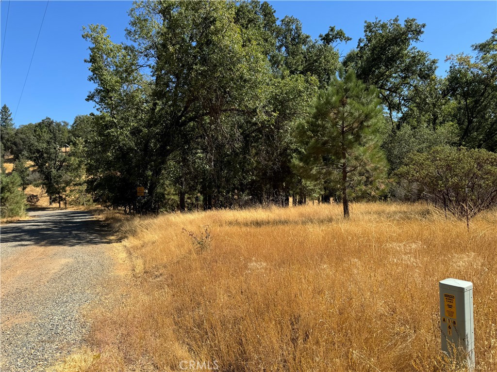 5718 E Whitlock Rd, Mariposa, CA 95338