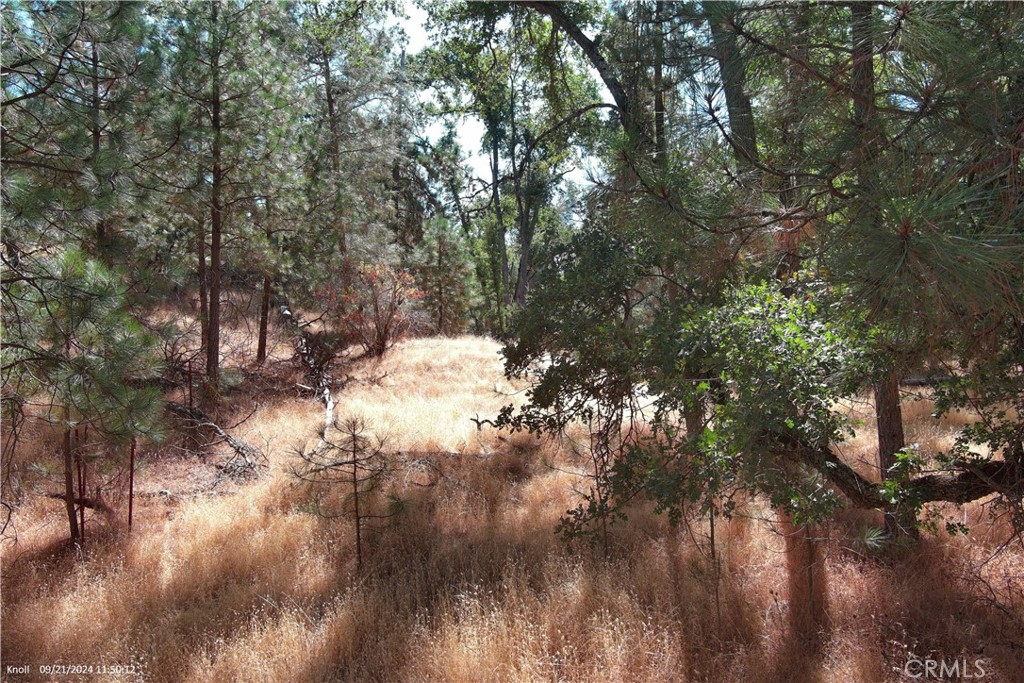 5718 E Whitlock Rd, Mariposa, CA 95338