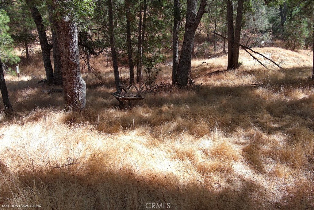 5718 E Whitlock Rd, Mariposa, CA 95338