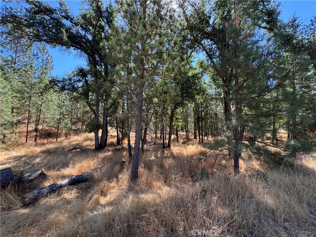 5718 E Whitlock Rd, Mariposa, CA 95338