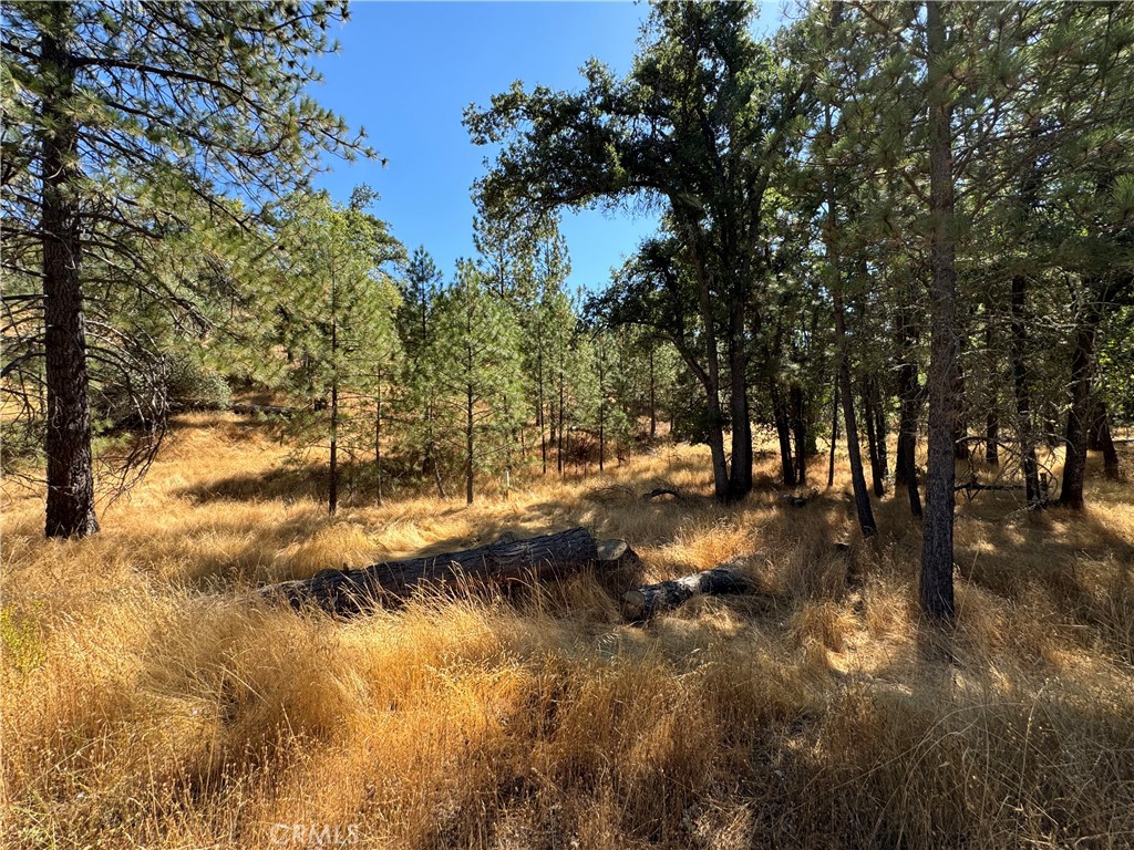 5718 E Whitlock Rd, Mariposa, CA 95338