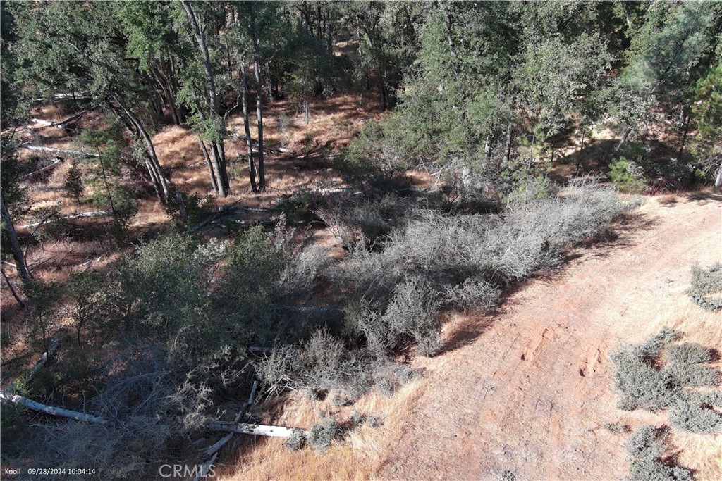5718 E Whitlock Rd, Mariposa, CA 95338