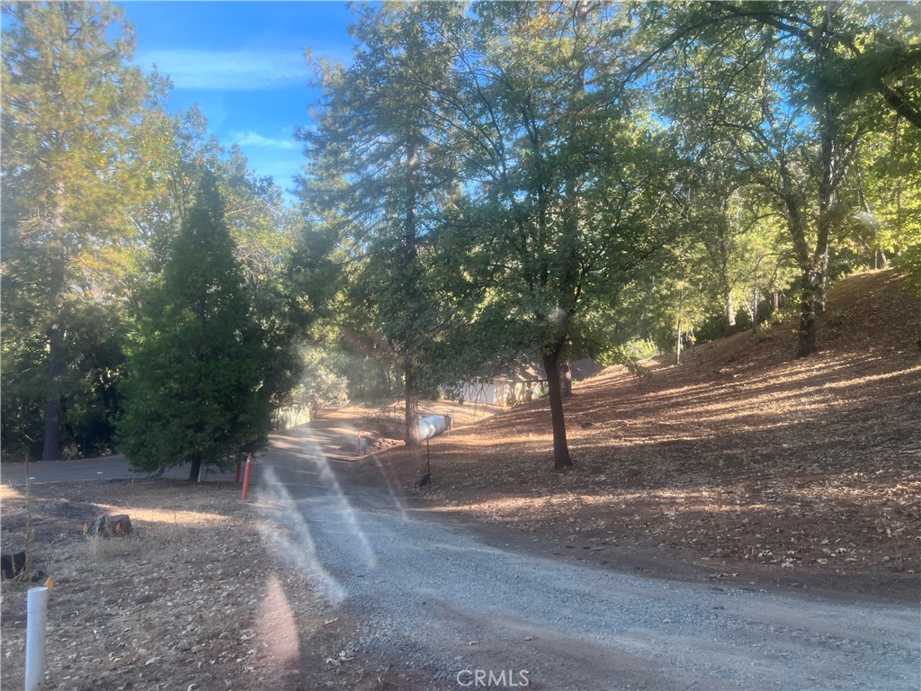 4748 Carstens Rd, Midpines, CA 95345