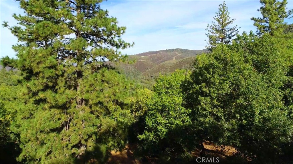 4748 Carstens Rd, Midpines, CA 95345