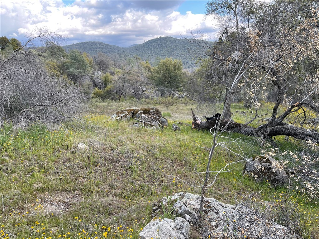 3786 Bronco Hollow Rd, Mariposa, CA 95338
