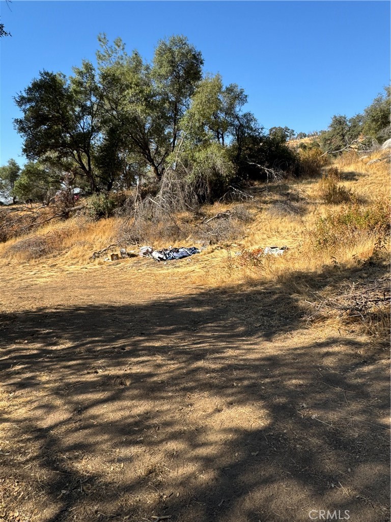 3786 Bronco Hollow Rd, Mariposa, CA 95338