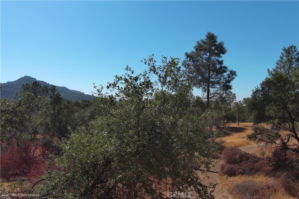 3786 Bronco Hollow Rd, Mariposa, CA 95338