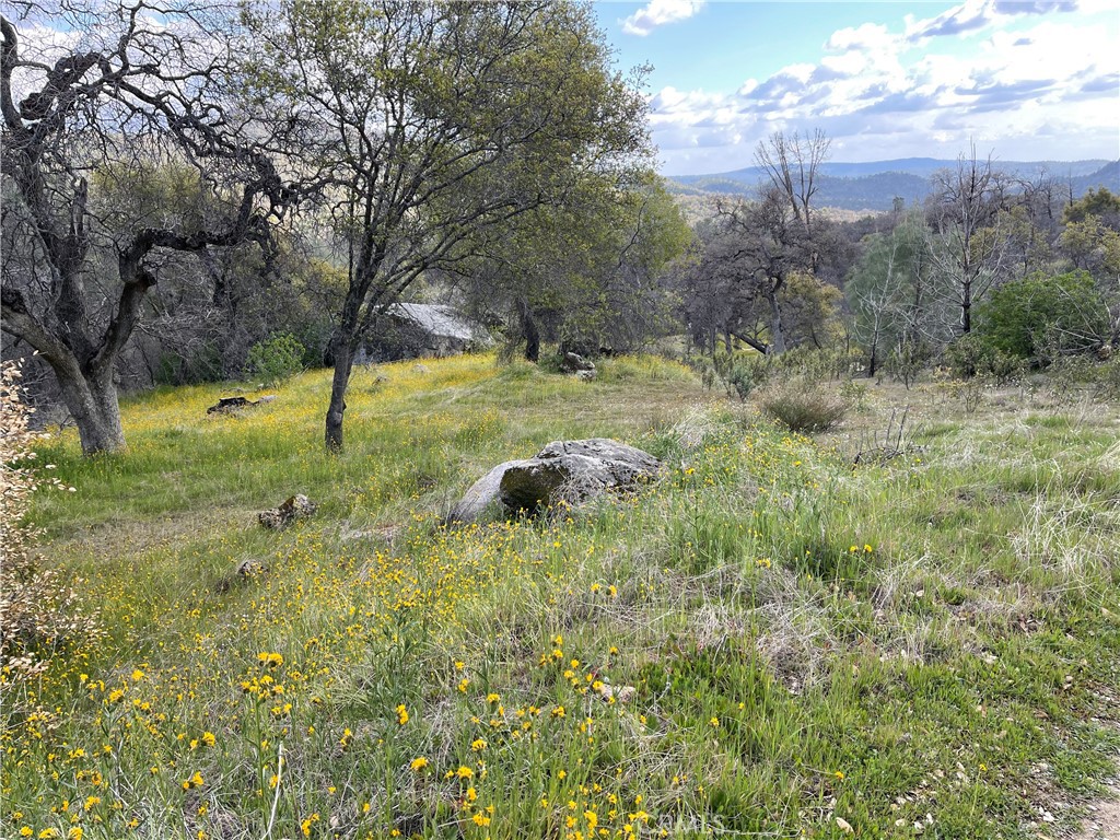 3786 Bronco Hollow Rd, Mariposa, CA 95338