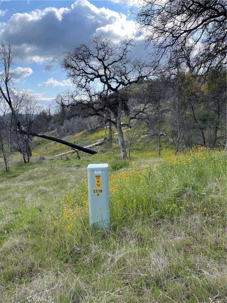 3786 Bronco Hollow Rd, Mariposa, CA 95338