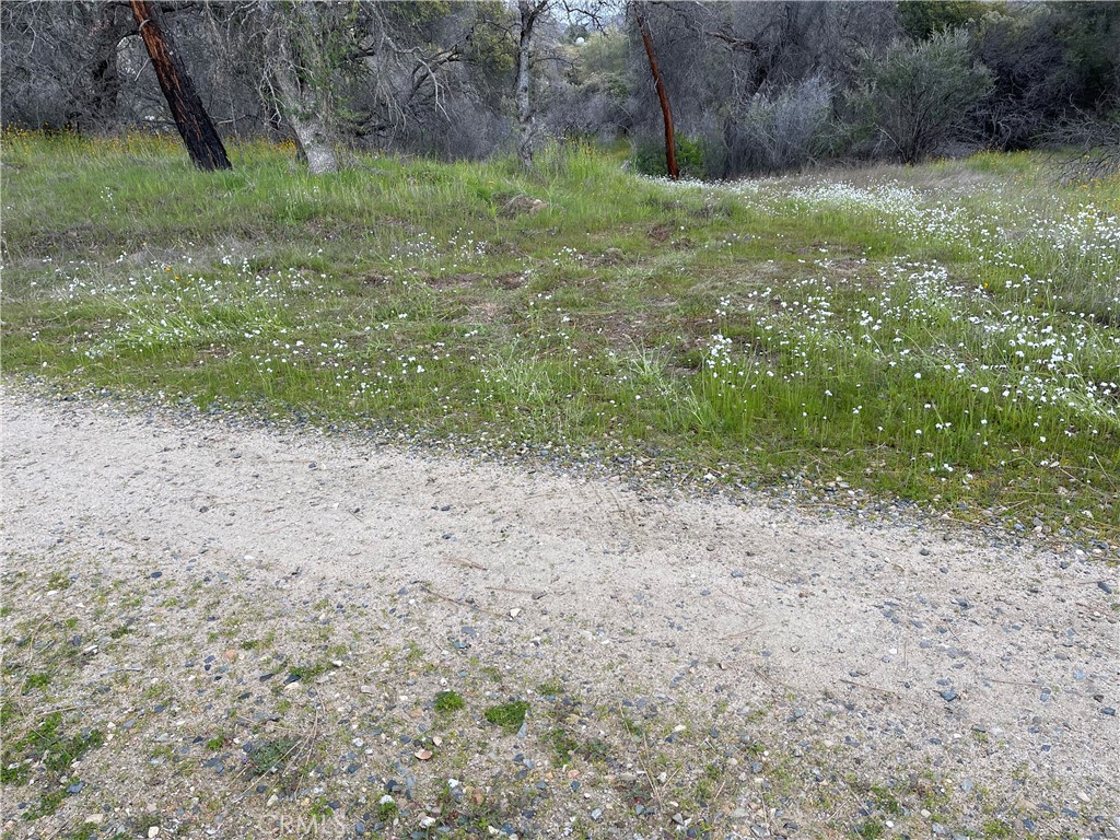 3786 Bronco Hollow Rd, Mariposa, CA 95338