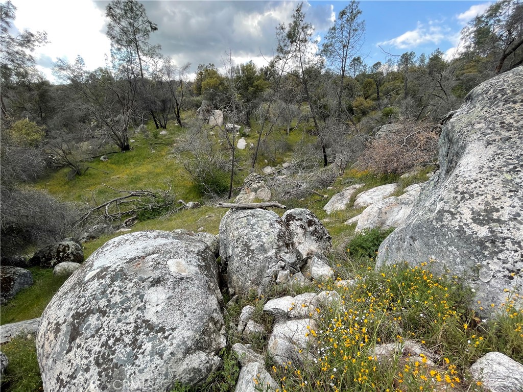 3786 Bronco Hollow Rd, Mariposa, CA 95338