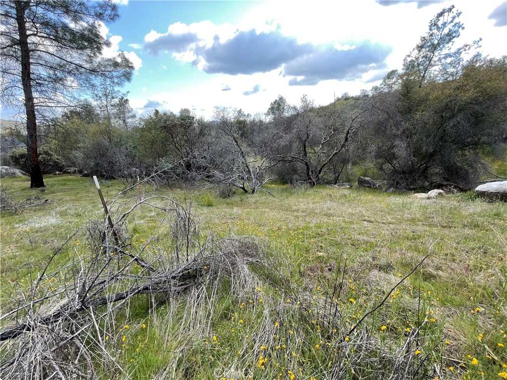 3786 Bronco Hollow Rd, Mariposa, CA 95338
