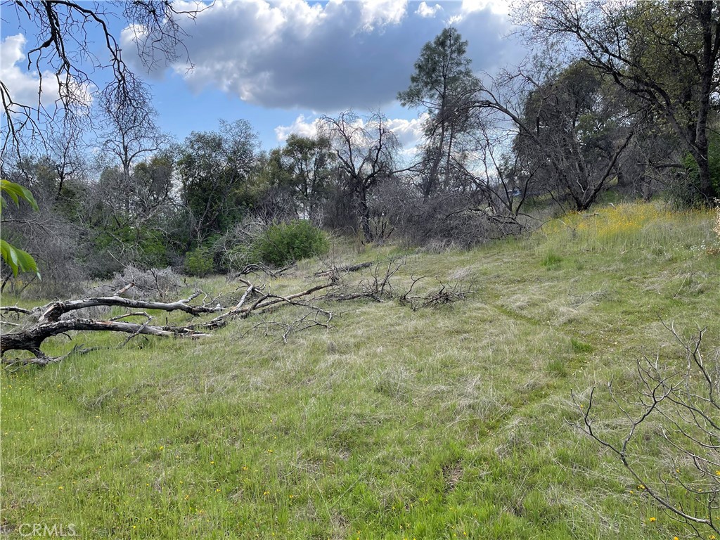 3786 Bronco Hollow Rd, Mariposa, CA 95338