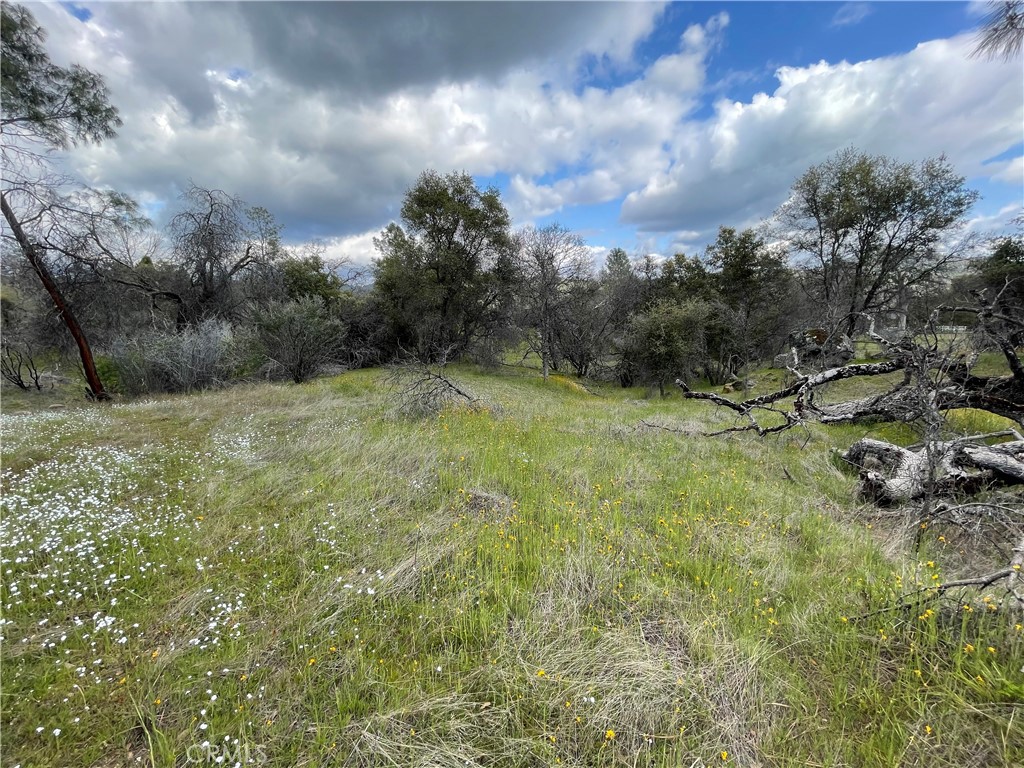 3786 Bronco Hollow Rd, Mariposa, CA 95338
