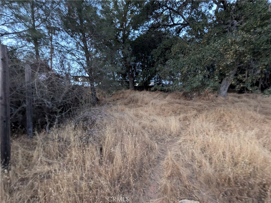 0 Joe Howard Street, Mariposa, CA 95338