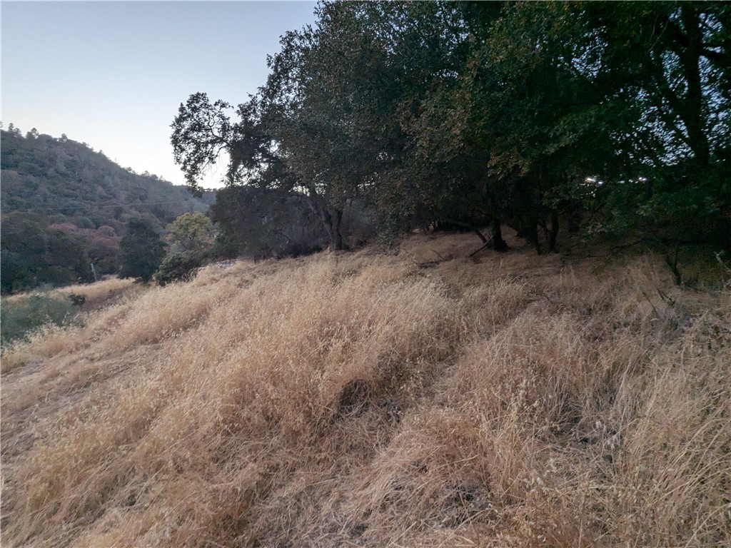 0 Joe Howard Street, Mariposa, CA 95338