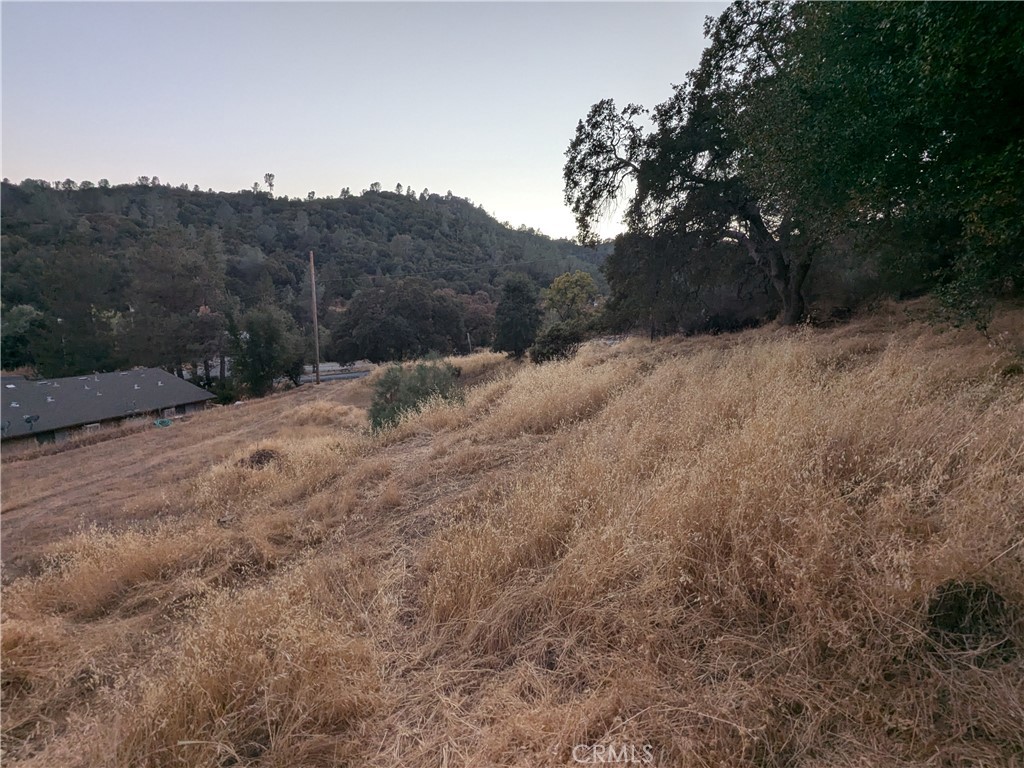 0 Joe Howard Street, Mariposa, CA 95338