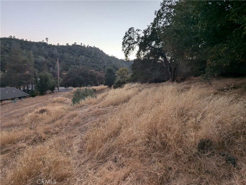 0 Joe Howard Street, Mariposa, CA 95338