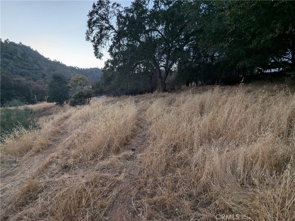 0 Joe Howard Street, Mariposa, CA 95338