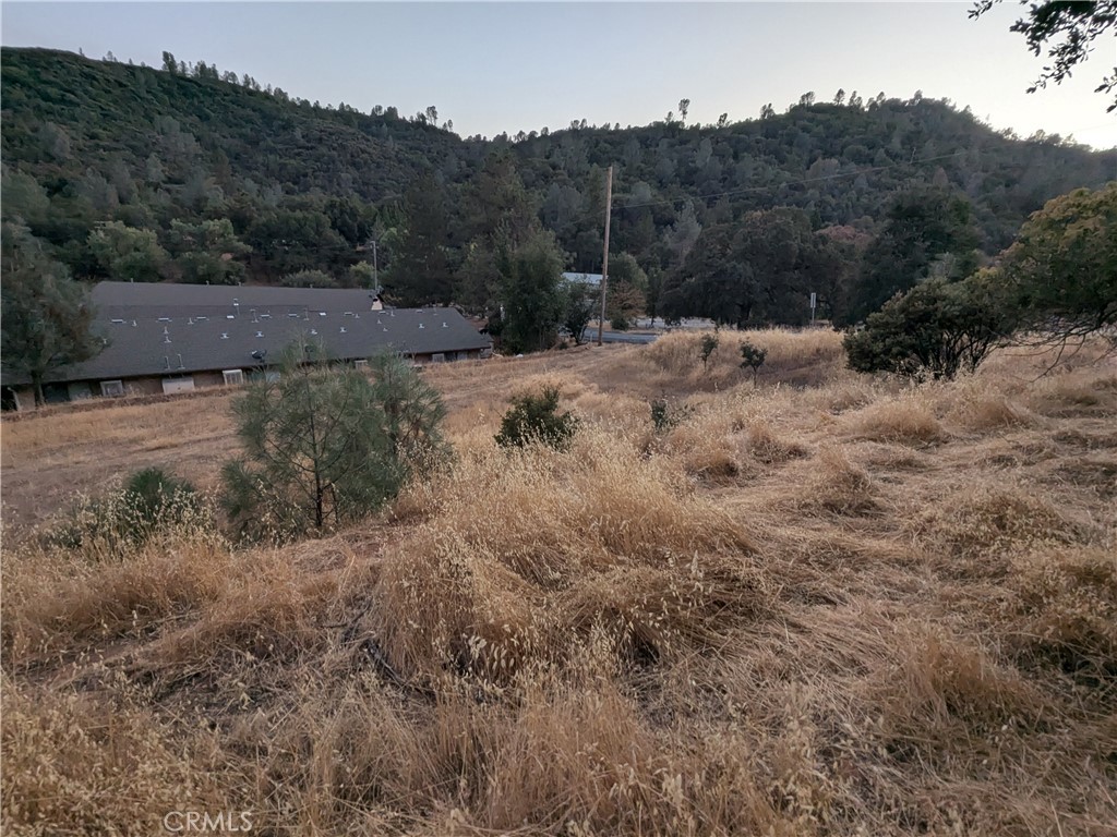 0 Joe Howard Street, Mariposa, CA 95338