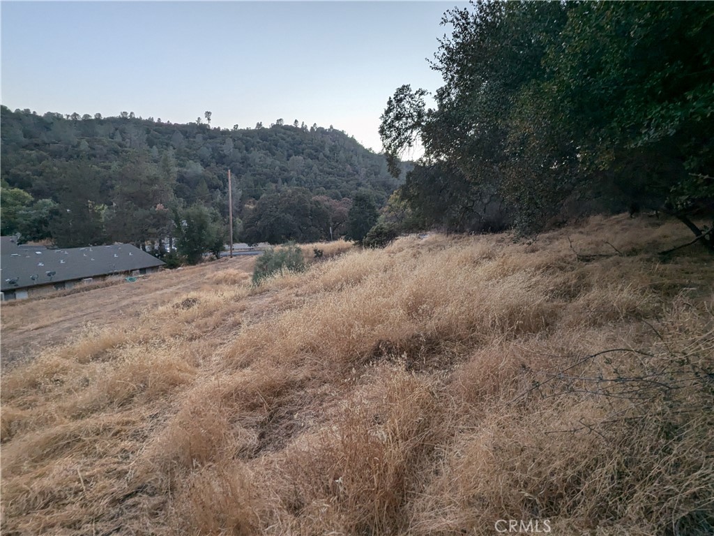 0 Joe Howard Street, Mariposa, CA 95338