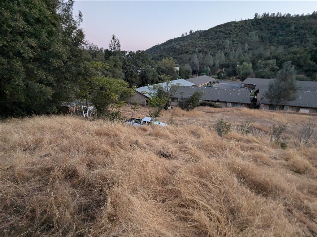 0 Joe Howard Street, Mariposa, CA 95338