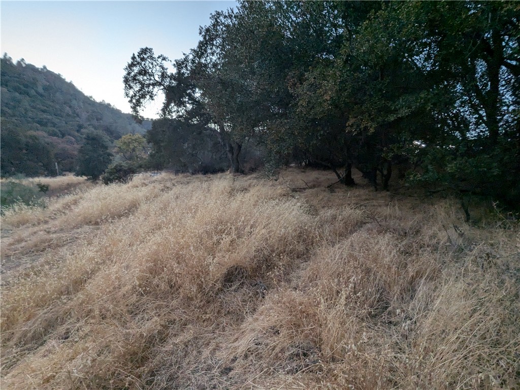 0 Joe Howard Street, Mariposa, CA 95338