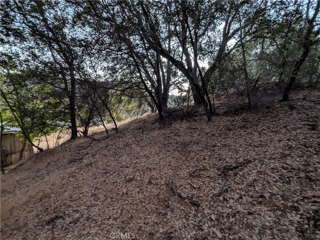 0 Joe Howard Street, Mariposa, CA 95338