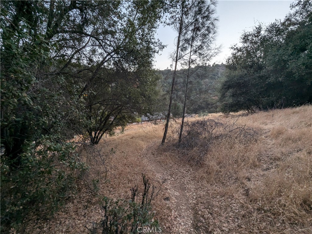 0 Joe Howard Street, Mariposa, CA 95338