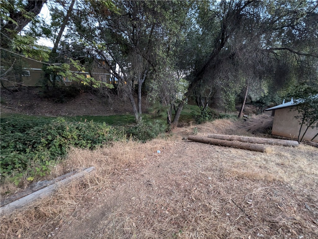 0 Joe Howard Street, Mariposa, CA 95338