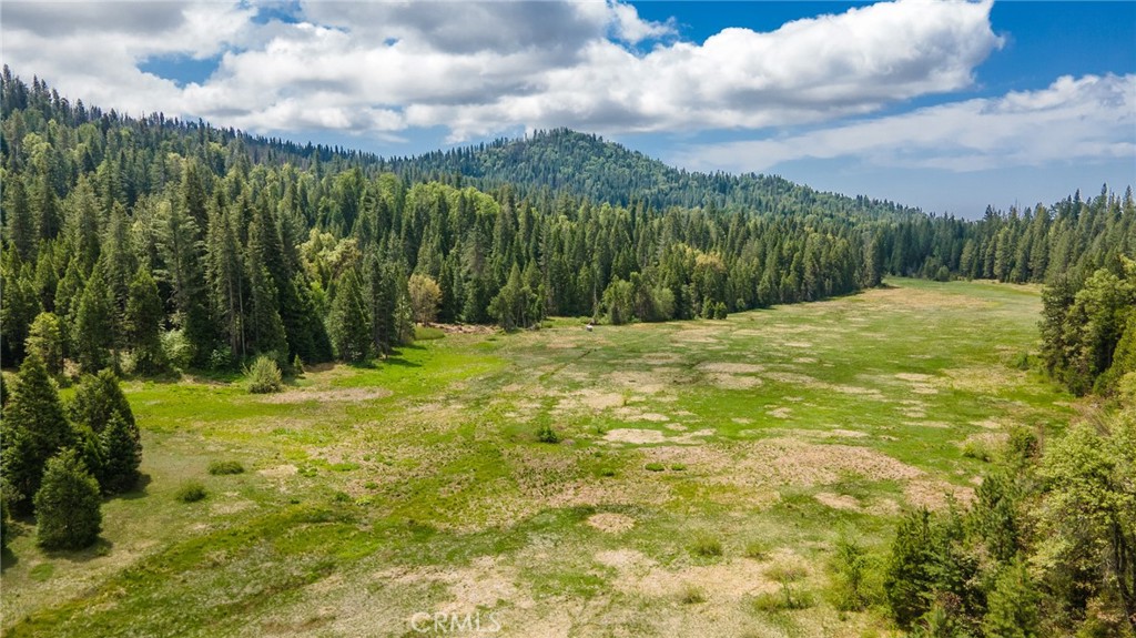 5657 Worman Rd, Ahwahnee, CA 95338