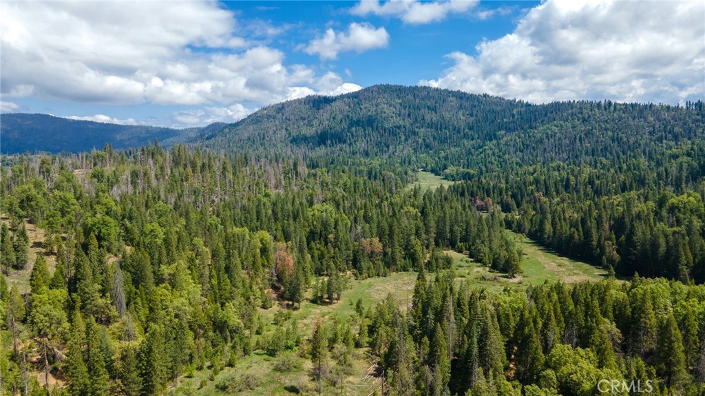 5657 Worman Rd, Ahwahnee, CA 95338