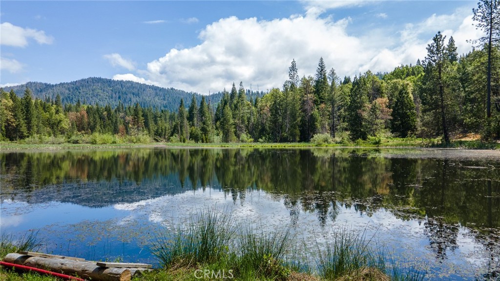 5657 Worman Rd, Ahwahnee, CA 95338
