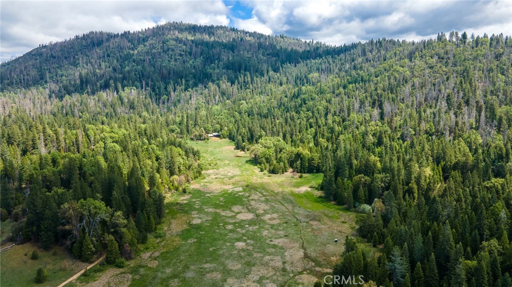 5657 Worman Rd, Ahwahnee, CA 95338