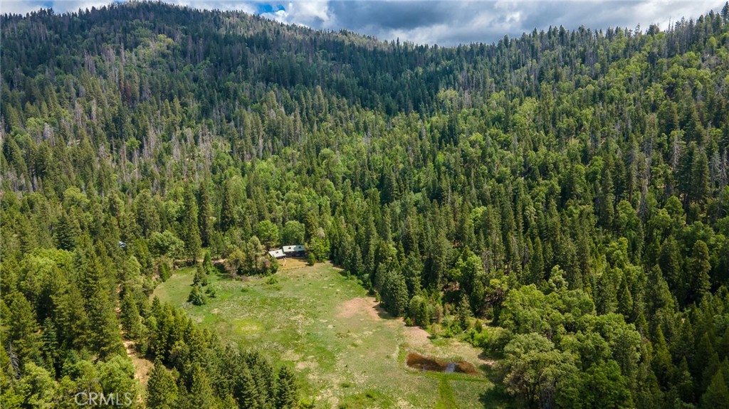 5657 Worman Rd, Ahwahnee, CA 95338
