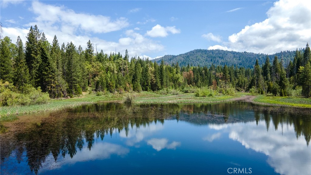 5657 Worman Rd, Ahwahnee, CA 95338