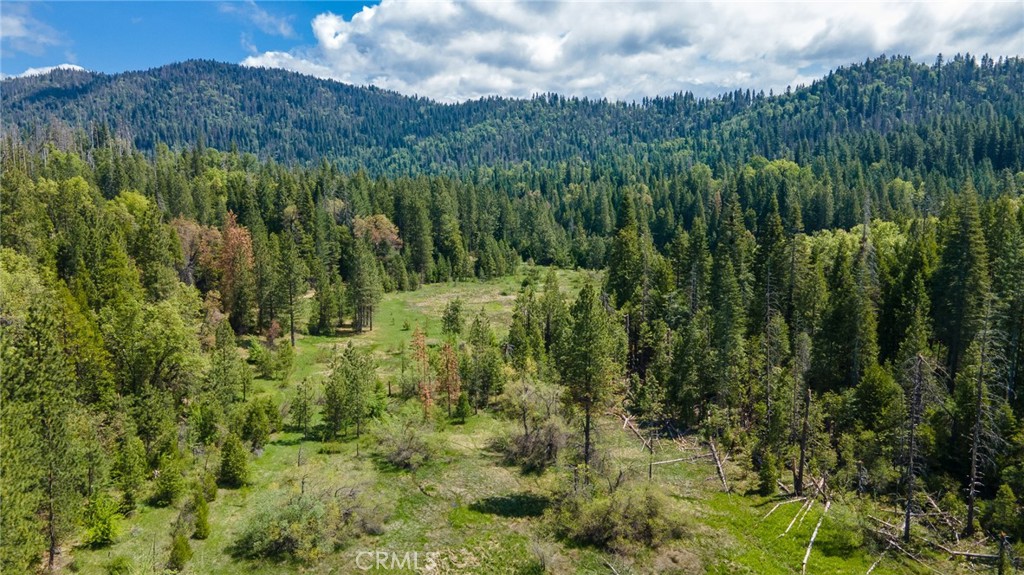 5657 Worman Rd, Ahwahnee, CA 95338